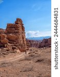 The huge Charyn Canyon in the desert of Kazakhstan. Panoramic view of a large canyon in the desert with mountains and snowy peaks on the horizon. People walking along the canyon