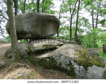 Huge erratic boulder balanced on rocks. Massive geological formation standing inside green woodland during summer day.