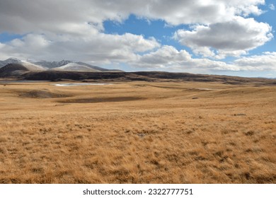 A huge flat steppe with dry, yellowed grass at the foot of snow-covered mountain ranges on a sunny autumn day. Chui steppe, Altai, Siberia, Russia.
