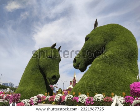 Huge green horse heads (topiary) in a park in Dubai. View from below and from the side