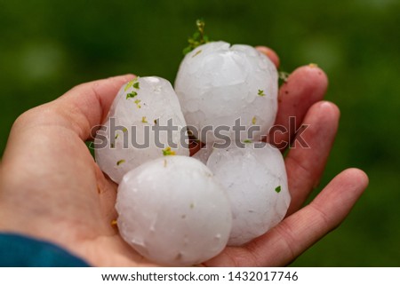 
Huge hailstones after a severe thunderstorm in the hand of a young woman