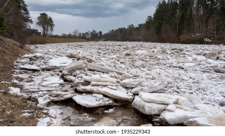 Huge Ice Loads Drift In The River Ogre, Latvia. Congestion On The River In The Spring. A Large Cluster Of Moving Ice Blocks