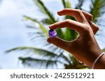 Huge light-purple amethyst stone holding in fingers. Natural gem stone found in Sri Lanka mine, close up. Palma tree leaves in background. Sunrays reflecting in glossy gemstone surface.