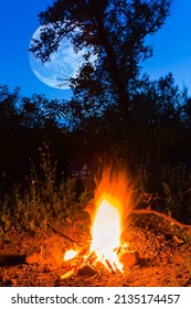Huge Moon Above  Camp Fire On Forest Glade, Night Outdoor Camping Scene