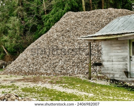 A huge mound of empty and shucked oyster shells tower over a small building at an oyster farm in Washington State.