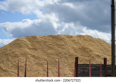 Huge Mountain Of Sawdust In A Concept Of Energy Crisis And Energy Shortage With Blue Sky In The Background