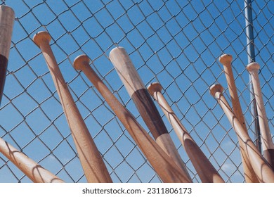 A huge number of baseball bats leaning against a chain link fence around the baseball field. Sports gear. Brake in a team practice. American game. Blue sky background - Powered by Shutterstock