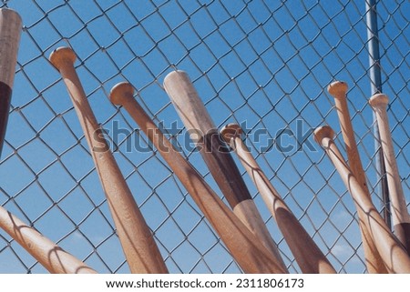A huge number of baseball bats leaning against a chain link fence around the baseball field. Sports gear. Brake in a team practice. American game. Blue sky background