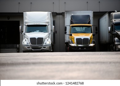 Huge number of big and small rig semi trucks are loaded and unloaded in the docks of warehouses detaches semi trailers attaching already loaded ones and again the truckers kings of roads are set off