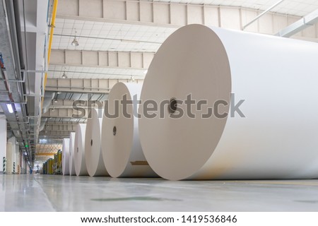 Huge Paper Rolls Placed in the Warehouse Waiting For Use