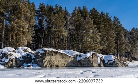 Huge picturesque boulders lie on the bank of a frozen river. A layer of snow on the rocks. Reflection on turquoise ice. Coniferous trees against a clear blue sky. Altai. Katun. 