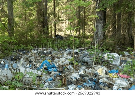 Huge pile of plastic garbage in the forest meadow, The concept of pollution of forests and nature. A terrible dump in the woods