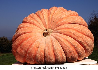 Huge Pumpkin