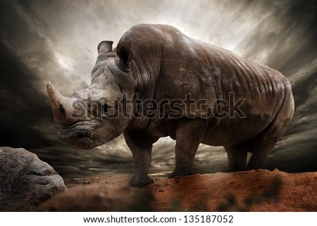 Huge rhinoceros against stormy sky