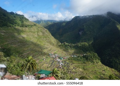 12,755 Rice Field Philippines Images, Stock Photos & Vectors 