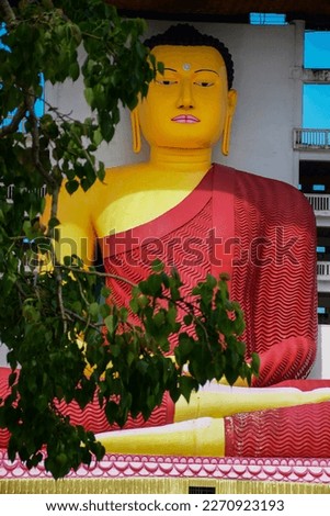 Huge statue of lord buddha over the tree of Bo(Sacred fig) #UniqueSSelf