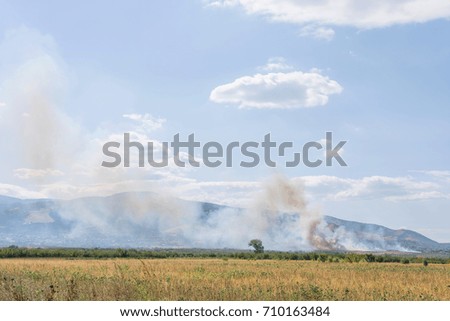 Huge Summer Dangerous Field Mass Fire 