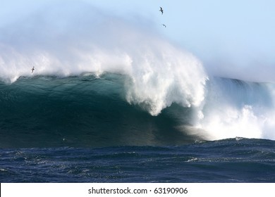 Huge Surf Waves With Seabirds, Off Sydney, Australia.