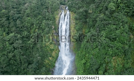 huge waterfall in the middle of the jungle of Costa Rica surrounded by vegetation in the Barbilla National Park in indigenous territory.