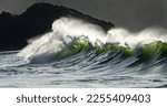 Huge wave crashing against a headland on the South Washington State  coast during a king tide