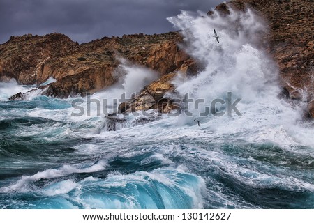 Huge waves crashing on the rocks of Syros island, Greece. The seagulls enjoyed it highly.