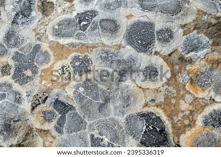 Huge weathered rock covered with colorful lichen. Natural abstract pattern.