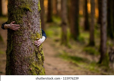 hugging a tree