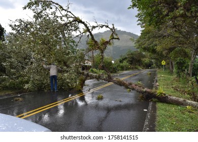 Huila, Colombia - July 2016: A Tree Fell Over The Road And A Man Tries To Cut It