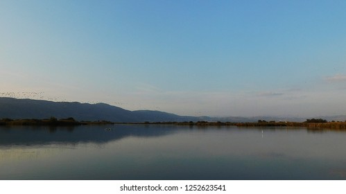 Hula  Nature Reserve , Israel, Hula Valley