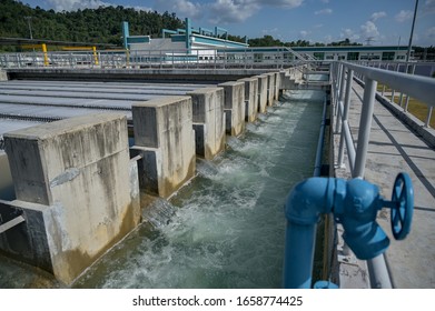 Langat River High Res Stock Images Shutterstock