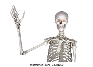 1,679 Skeleton waving Images, Stock Photos & Vectors | Shutterstock