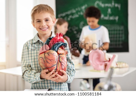 Human anatomy. Positive nice boy smiling to you while holding a heart model