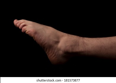 Human Anatomy Series: Plantar Flexion