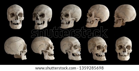 Human anatomy. Human skull. Collection of rotations of the skull. Skull at different angles. Isolated on black background. 