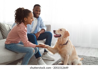 Human And Animal Connection Concept. Obedient Dog Giving Paw To His Owner In Living Room, Cheerful Happy Black Teenage Girl Training Her Pet At Home, Sitting On Couch With Smiling Dad