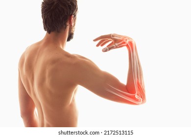 Human arm elbow bone pain  anatomy human arm