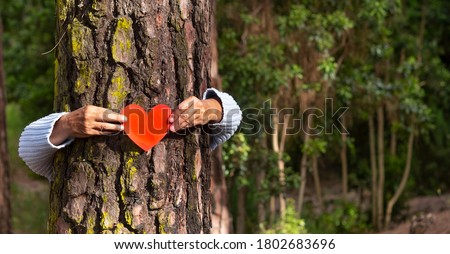 Human arms hugging a tree trunk in the woods holding a paper heart in their hands, earth day concept. An elderly person is hiding behind the tree. People save the planet from deforestation Foto stock © 