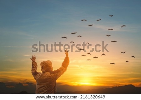 Human with arms up to the sky asking for help and free bird enjoying nature on sunset background, hope concept