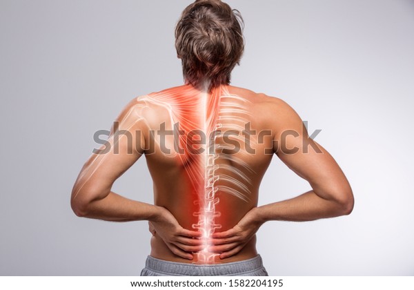 Human back anatomy, man holding his hand in the back\
pain area