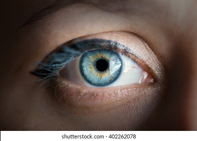 Human Blue Eye With Reflection Closeup. Color Toned Image.