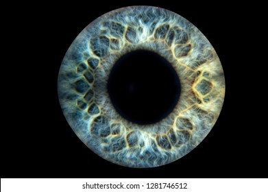 Human Blue Iris Eye. Pupil In Macro On Black Background