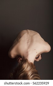 the human body