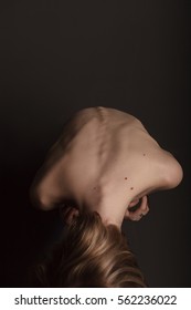 the human body