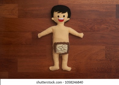 Human Body Anatomy Doll With Digestive System (colon & Small Intestine)  On Wooden Background. A Ideal DIY Preschool Educational Tool For Introducing Young Child About Internal Organs And Systems.