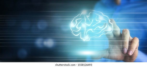 Human brain activity with plexus lines