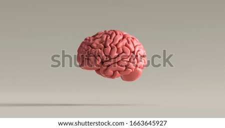 Human brain against, concept image for feminism and woman rights