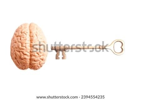 Human brain anatomical model with key isolated on white background.