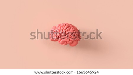 Human brain Anatomical Model, medical concept image