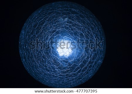 Human brain cell