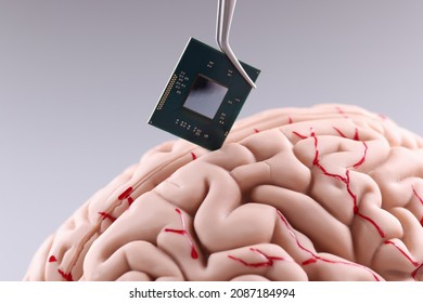 Human brain and computer chip. Microprocessor in head